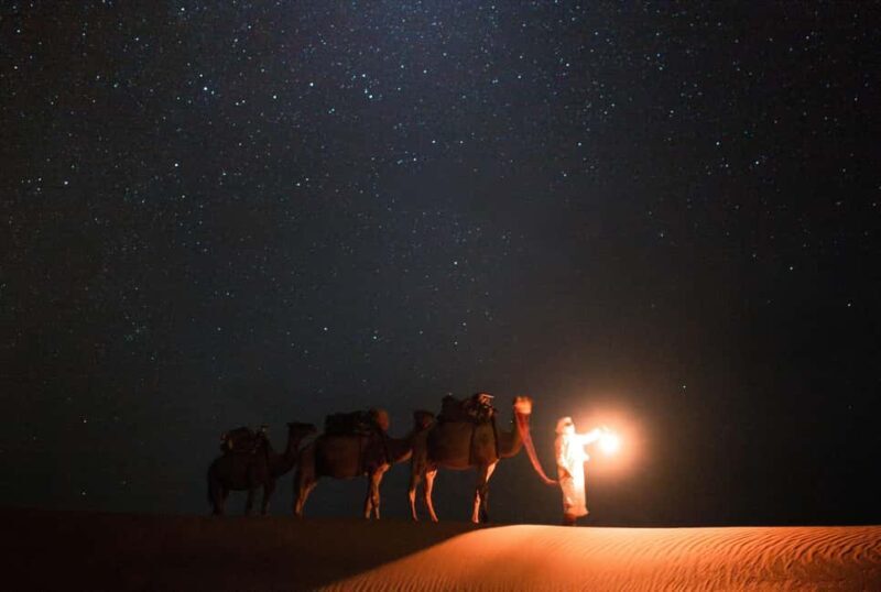 Qatar: Night Desert Safari| Camel Ride| Inland Sea Beach - Key Points