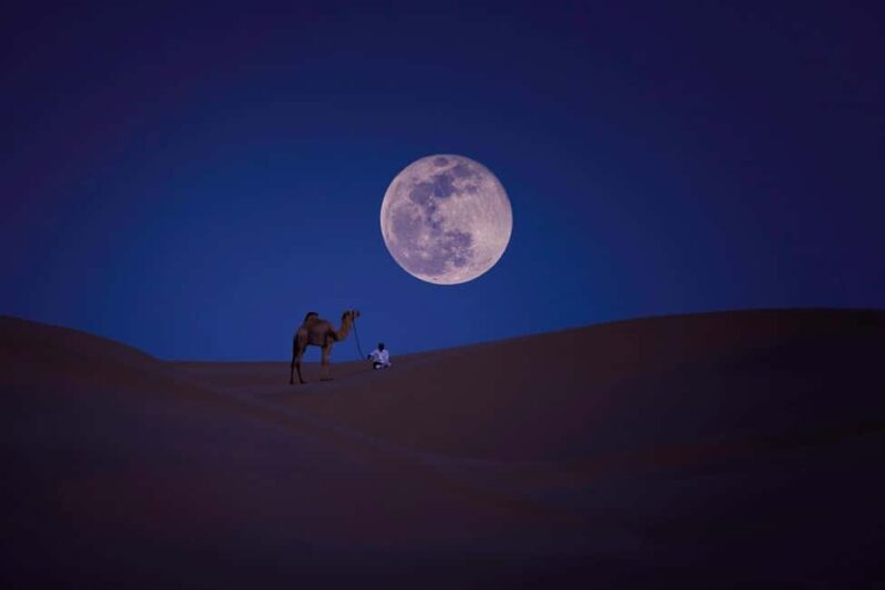 Qatar: Night Desert Safari| Camel Ride| Inland Sea Beach - Stargazing and Nighttime Magic