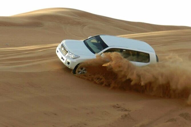 Qatar Private Combo of City tour and Desert Safari - Final Thoughts: Who Will Love This Tour?