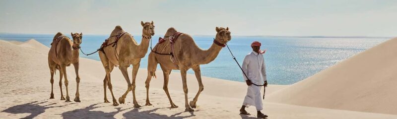 Qatar: Sunrise/Sunset Desert Safari, Camel Ride&Sandboarding - Who Should Consider This Tour?