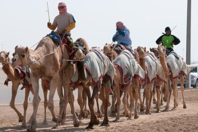 Qatar West Coast Zkreet Richard Sierra Camel Track Rock Formation - Exploring Qatar’s West Coast: A Detailed Breakdown