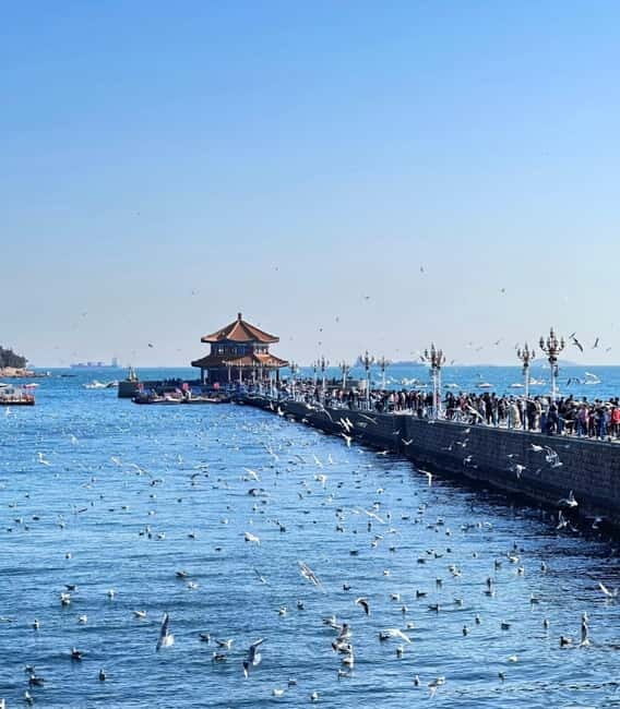 Qingdao Charm: History, Crafts, Offshore View & Night Market - European Elegance at Daxue Road & Yushan Road