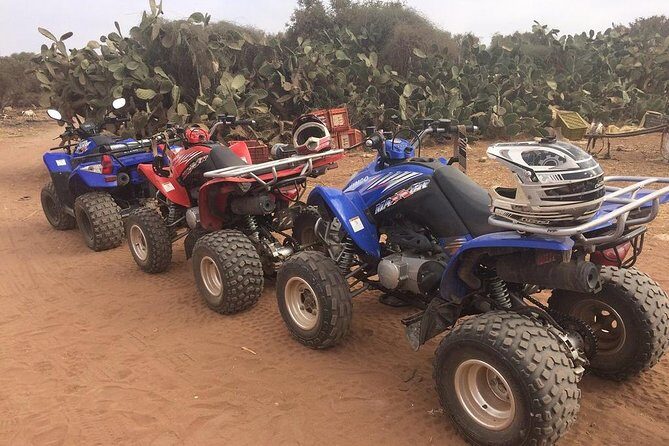 Quad adventure - IN AGADIR, DUNES, FOREST, BEACH - The Sum Up