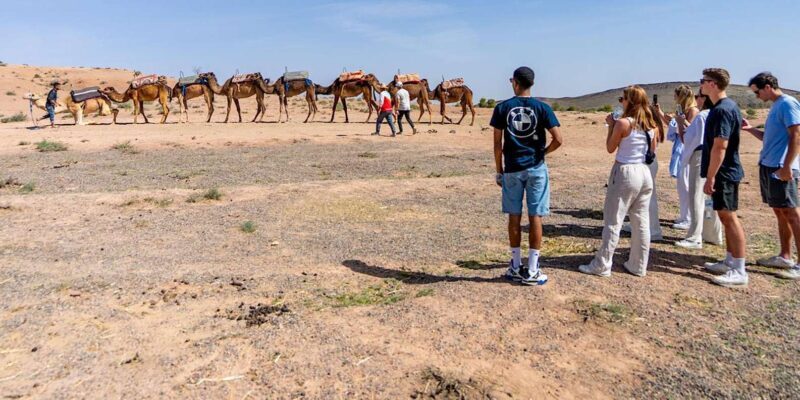 Quad Adventure with Berber Lunch and Pool Oasis - Final Thoughts: Who Is This Tour Best For?
