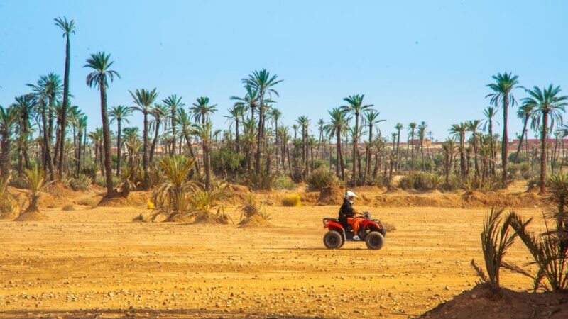 Quad Bike Activity in Marrakech Palmeraie - The Sum Up