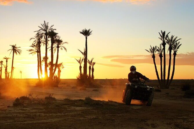 Quad Bike and Camel Ride in Marrakech Palmeraie - Starting Your Adventure with Pickup and Transportation
