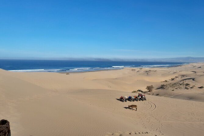 Quad Bike and Sandboarding on Sand Dunes Wild Beach - The Details That Matter