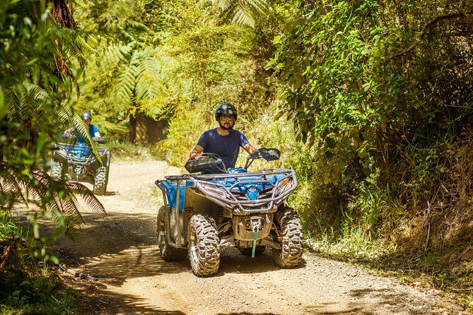 Quad Bike - Bayview Circuit - The Experience: What to Expect on the Bayview Circuit