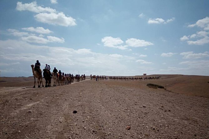 Quad bike & Camel ride Agafay & dinner at Chouf LOr Restaurant - The Sum Up