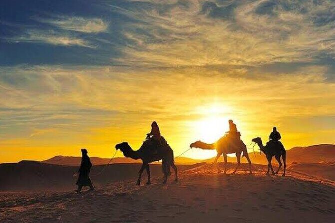 Quad Bike & Camel Ride & Dinner Show In Agafay Desert - Who Will Enjoy This Tour?