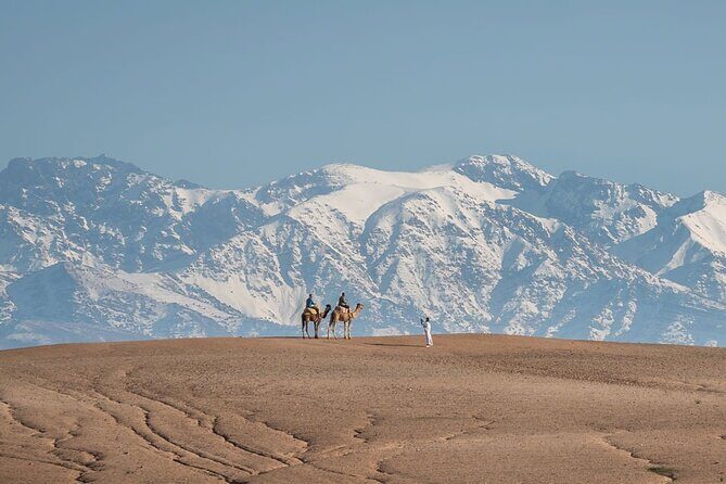 Quad Bike, Camel Ride, Dinner with Show & sunset in Agafay Desert - Final Thoughts on Value and Experience