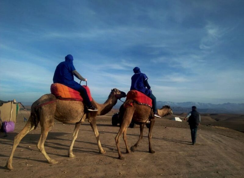 Quad bike & Camel ride in Agafay with dinner at Chouf Lor - What to Expect on the Tour