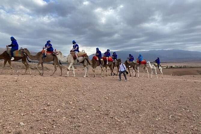 Quad bike & camle Ride & Dinner show in agafay desert - Final Thoughts