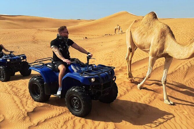 Quad Bike Dubai Private Tour - An Overview of the Experience
