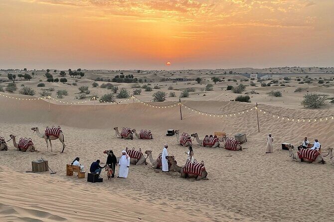 Quad Bike Dubai Private Tour - FAQ