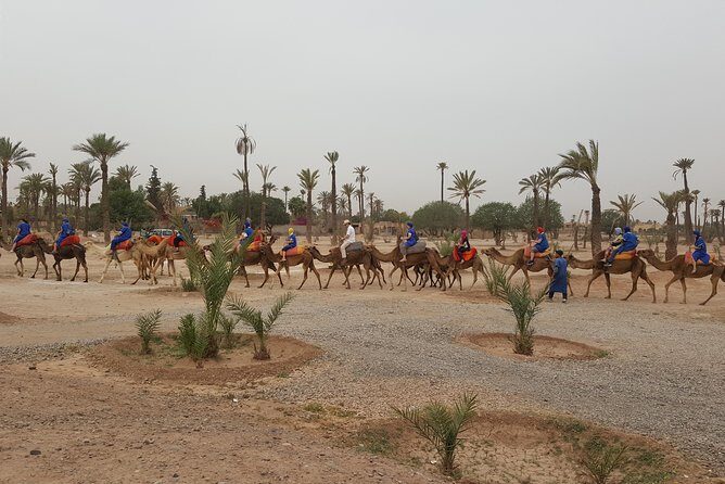 QUAD BIKE Marrakech - FAQ