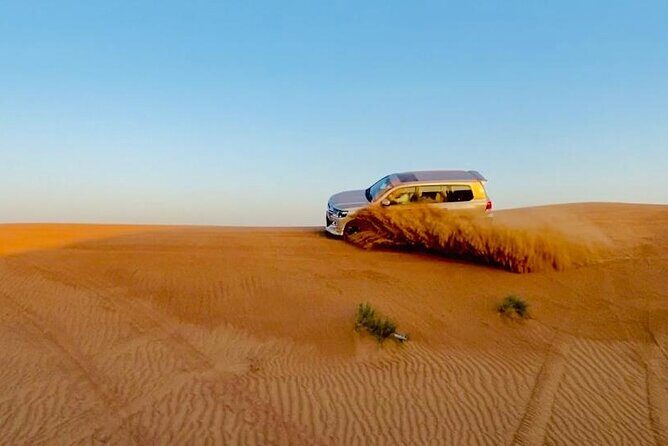 Quad Bike Tour with Camel Ride, Sandboarding, BBQ & Live Shows - A Detailed Look at the Desert Adventure