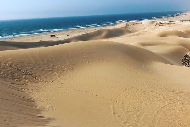 Quad Biking and Sandboarding on Sand Dunes Wild Beach - Key Points