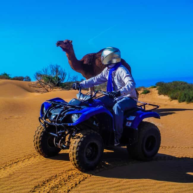 Quad Biking & Camel Riding Combo: Thrill Meets Tradition - A Closer Look at the Tour Experience