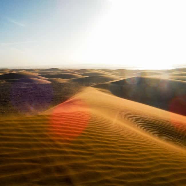 Quad Biking & Camel Riding Combo: Thrill Meets Tradition - What’s Included and What’s Not