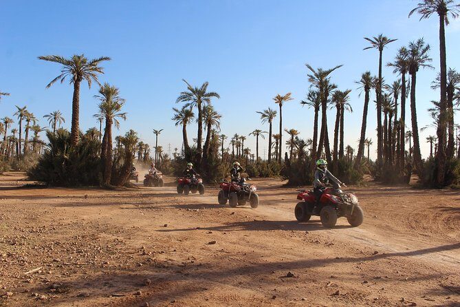 Quad Biking & Dromedary Riding - An Authentic Moroccan Desert Experience, in a Nutshell
