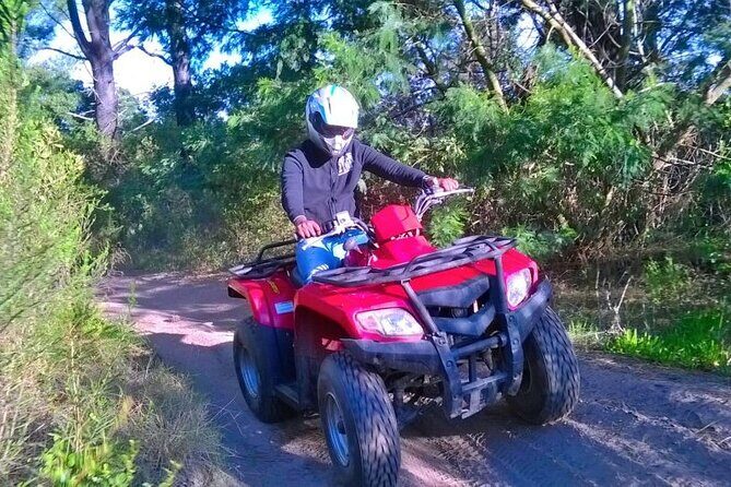 Quad Biking Fun Ride in Wilderness Garden Route - What Makes This Tour Stand Out?