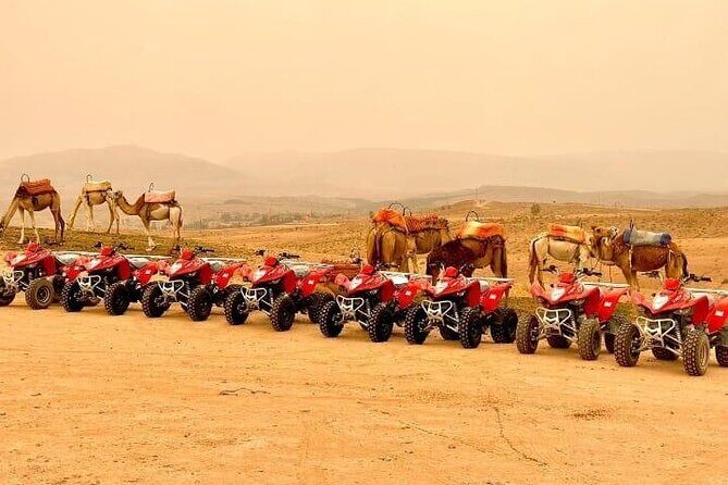 Quad Biking Half Day And Camel Ride In Sunset - Key Points: