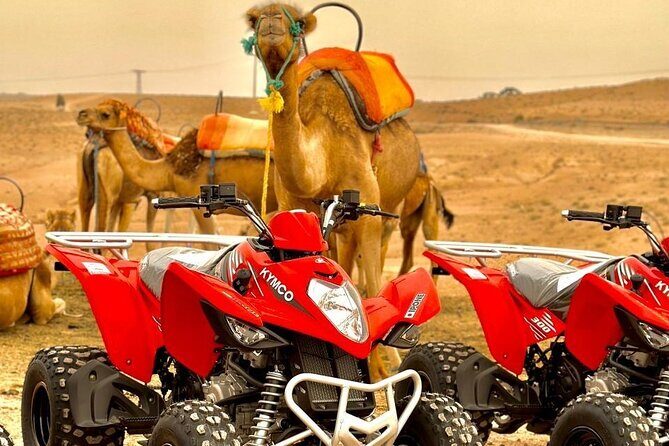 Quad Biking Half Day And Camel Ride In Sunset - An In-Depth Look at the Experience