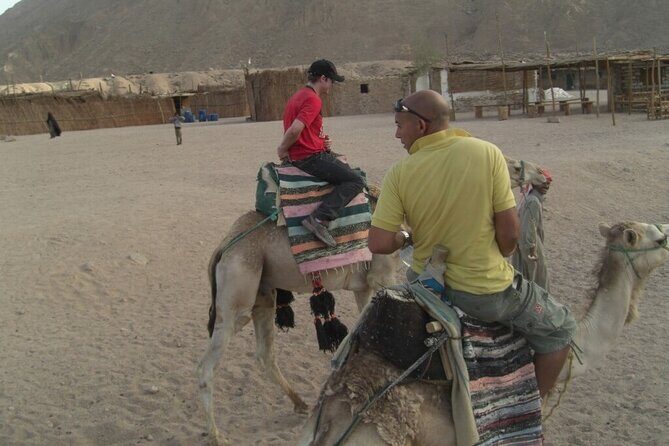 Quad Biking in Sharm El sheikh Desert, Party, Dinner - The Sum Up