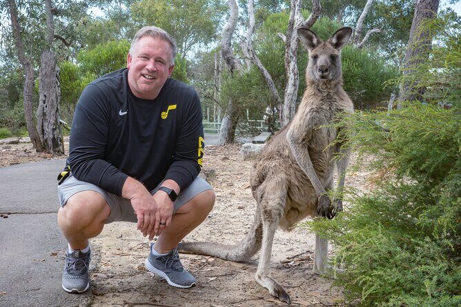 Quad Biking, Koalas and Kangaroos - Private Tour - References