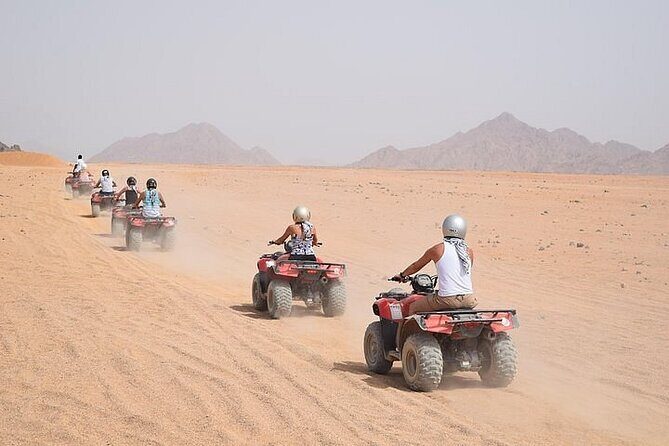 Quad Biking Safari-Camel Ride-Bedouin Dinner and Shows From Sharm - What to Expect from the Experience