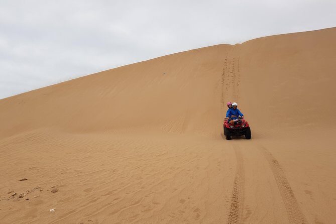 Quad day with south Essaouira meal 6h(free transfer) - Key Points