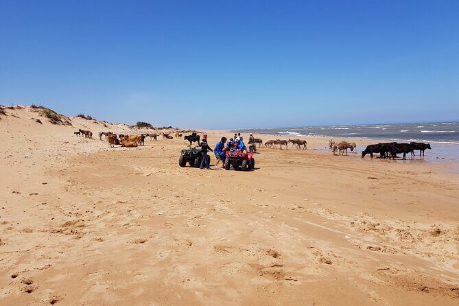 Quad day with south Essaouira meal 6h(free transfer) - Frequently Asked Questions