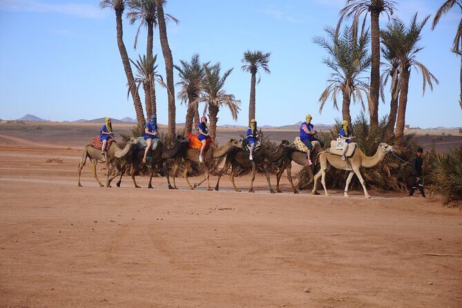 Quad Excursion in Marrakech with Pick-up from Hotel or Riad - The Sum Up