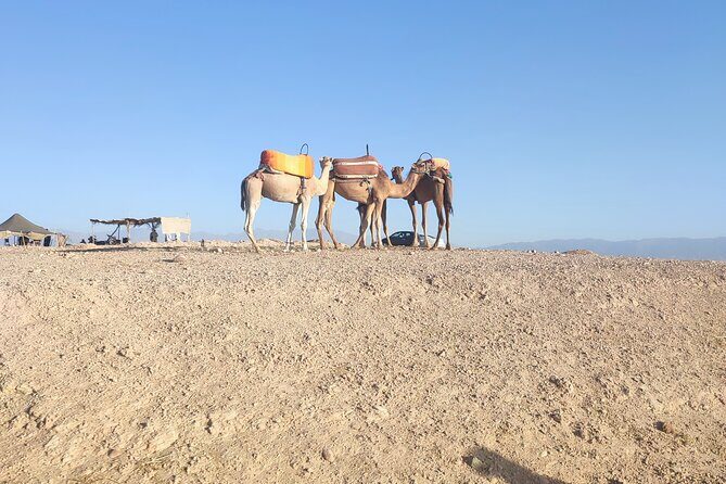 Quad excursion to the Agafay desert near Marrakech - Practical Details and Tips