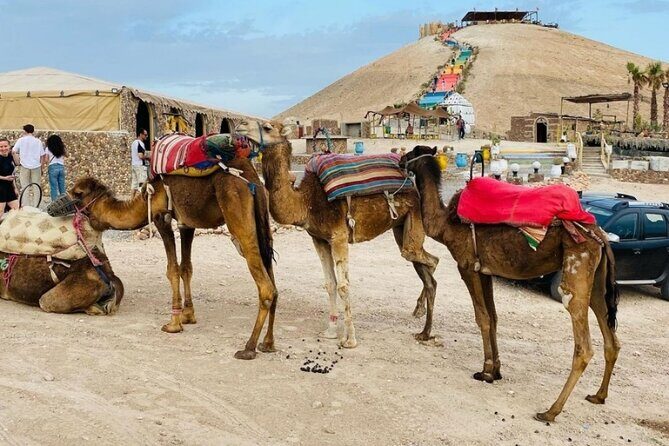Quad excursion to the Agafay desert near Marrakech - Final Thoughts