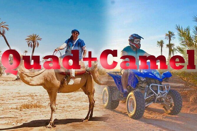 Quad palmeraie Marrakech et balade chameau transport inclus - A Deep Dive into the Experience