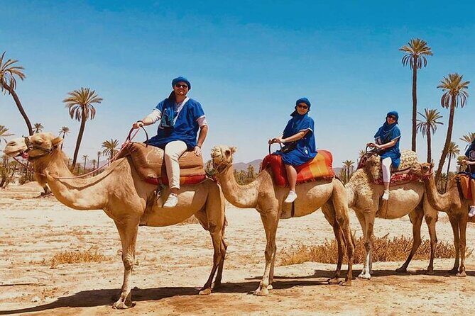Quad palmeraie Marrakech et balade chameau transport inclus - Final Thoughts