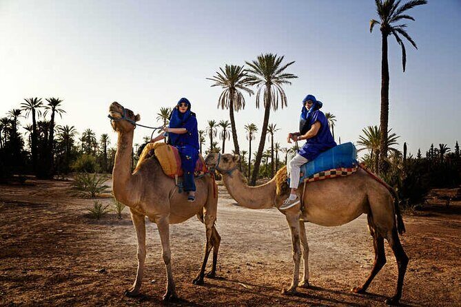 Quad palmeraie Marrakech et balade chameau transport inclus - FAQs