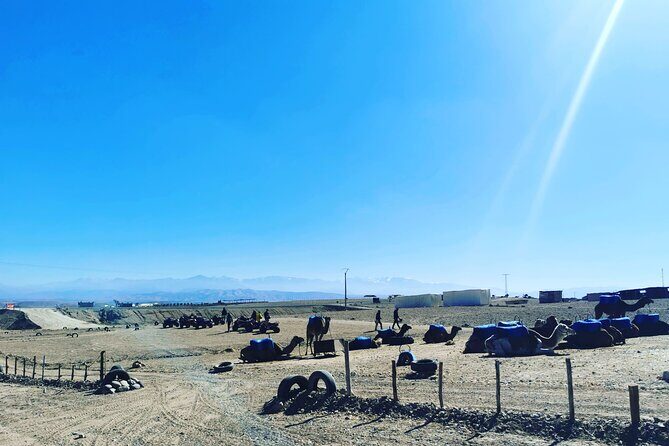 Quad Ride In The Agafay Desert - The Sum Up: Is It Worth It?