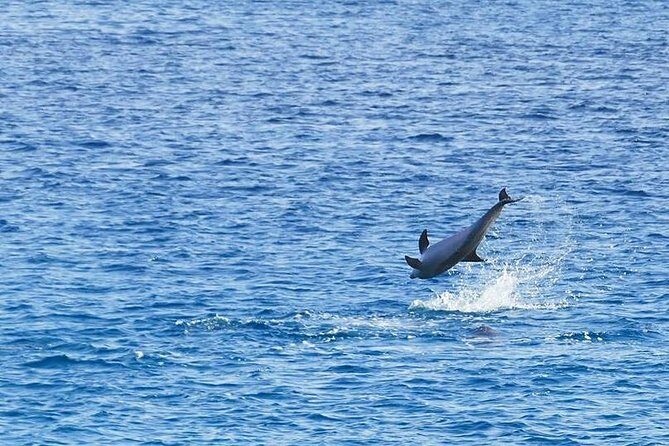Quad safari in the canyon, snorkeling at the Blue Hole and a visit to Dahab - FAQ