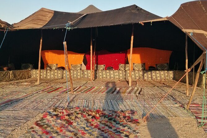 Quad Tour and Dinner in the Agafay Desert - Who Will Love This Tour?