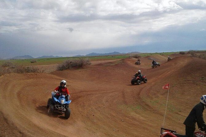 Quad tour in the palm grove desert - What Travelers Love About This Quad Tour