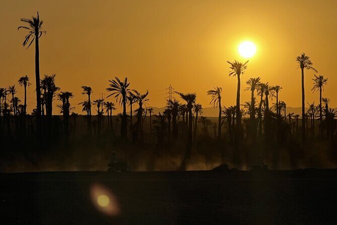 Quad tour to La Palmeraie de Marrakech - A Closer Look at the Quad Tour Experience