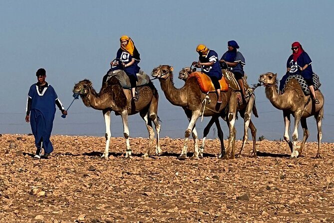 Quad tour to La Palmeraie de Marrakech - Frequently Asked Questions