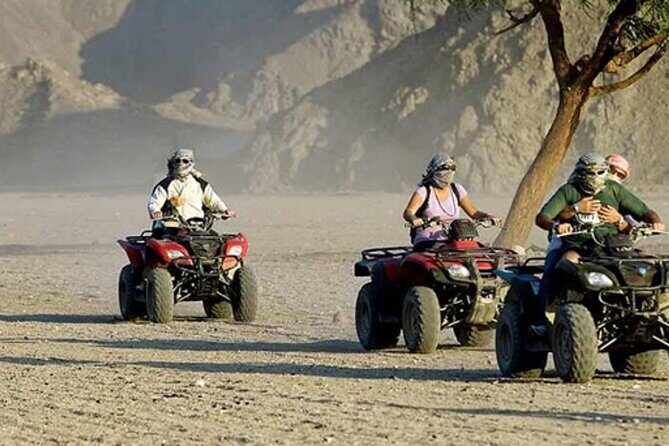 Quad with Camel Ride & Bedouin village From Marsa Alam - Setting the Scene for Your Desert Adventure