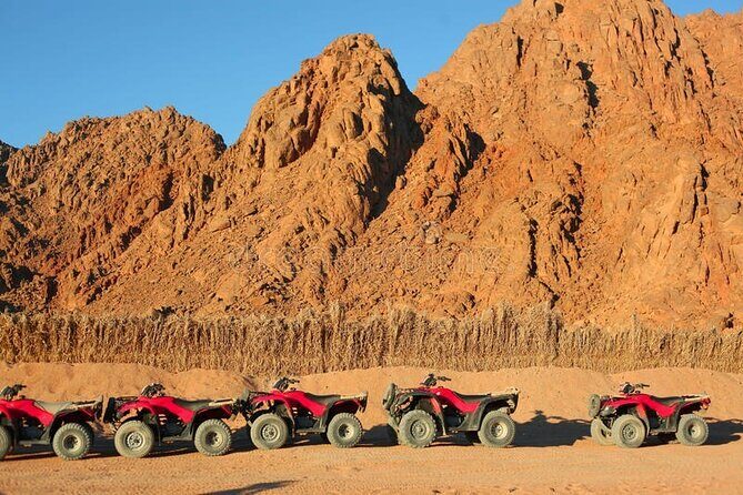 Quad with Camel Ride & Bedouin village From Marsa Alam - The Itinerary in Detail