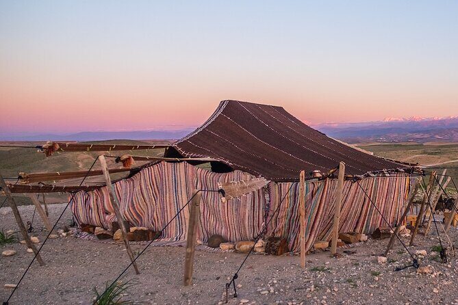 Quads, Camels & Sunset dinner in the Desert with Pick Up - The Sum Up