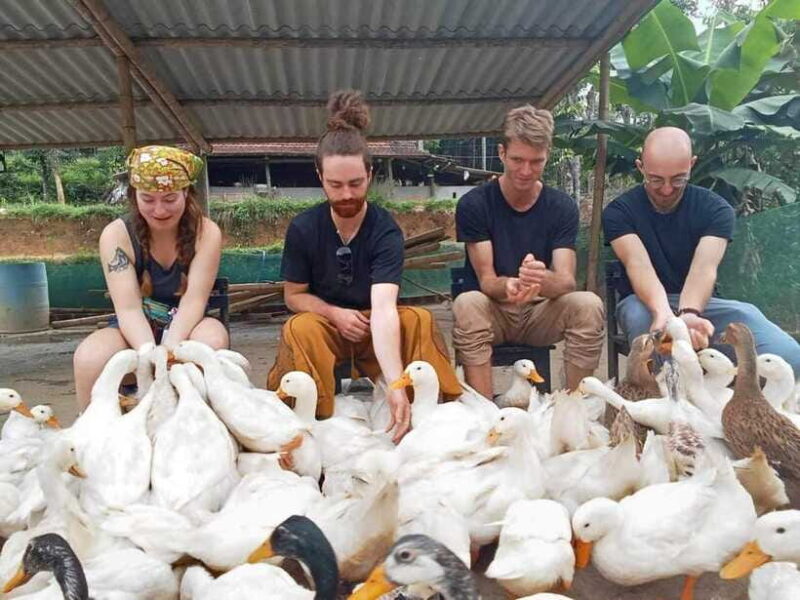 Quang Binh: Explore Phong Nha Cave and Experience Rural Life - Who Would Love This Tour?