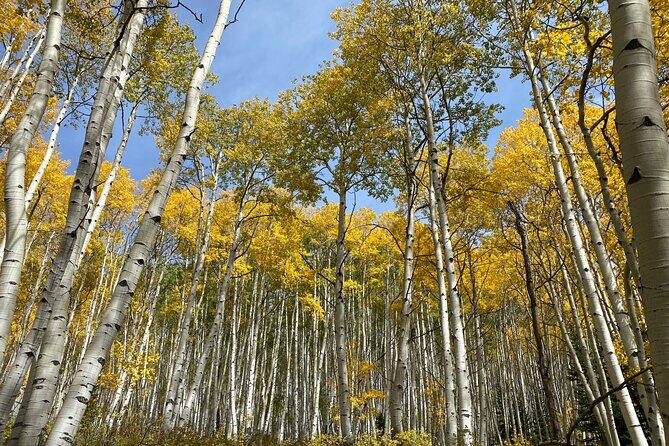 Quantum Healing Hike Hypnosis and Harmony at the Lake - Frequently Asked Questions